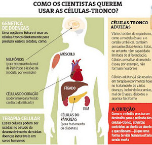 celulas_tronco