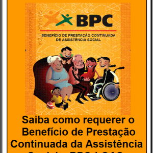 Benefício de Prestação Continuada BPC (3)