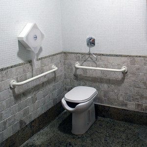 banheiro adaptado (72)