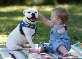 MENINA SEM UM DOS BRAÇOS GANHA CÃO IGUAL À ELA E SE TORNAM GRANDES AMIGOS