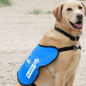 _76124676_buddydogbest(3)