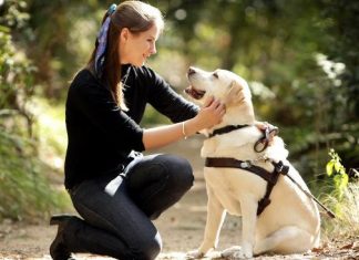 ESPÍRITO SANTO RECEBE PRIMEIRO CENTRO DE FORMAÇÃO DE INSTRUTORES DE CÃES-GUIA DO BRASIL