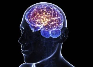 PESSOAS COM PARALISIA CONSEGUEM CONTROLAR CURSOR A PARTIR DO PENSAMENTO