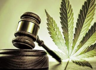 JUSTIÇA OBRIGA FORNECIMENTO DE DERIVADO DA MACONHA A DOENTES COM SÍNDROMES CONVULSIVAS, PARKINSON E ESQUIZOFRENIA