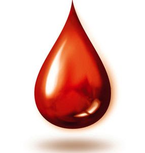 doar sangue (22)