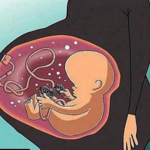 gravida (38)
