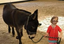 ‘BURRINHO TERAPEUTA’ AJUDA MENINA COM PARALISIA CEREBRAL A FALAR