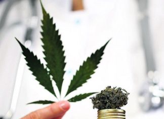 CANABIDIOL EMPRESA CAMPINEIRA É PIONEIRA NO COMÉRCIO MEDICINAL