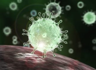 CARTILHA DÁ DICAS DE PREVENÇÃO AO NOVO CORONAVÍRUS PARA PACIENTES COM DOENÇAS RARAS – VEJA O VÍDEO.