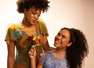 Criado com Libras e audiodescrição, ‘O Musical da Passarinha’ estreia no Teatro Sérgio Cardoso