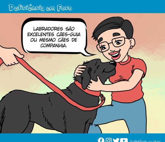 Tirinhas inclusivas #11 – DFF: Cães, grandes aliados na autonomia das pessoas com deficiência